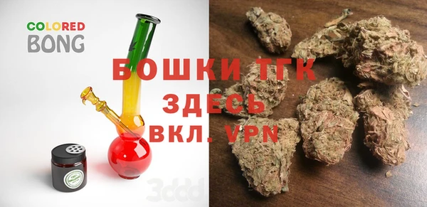 шишки Белоозёрский