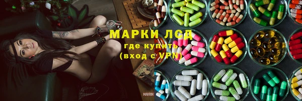 шишки Белоозёрский